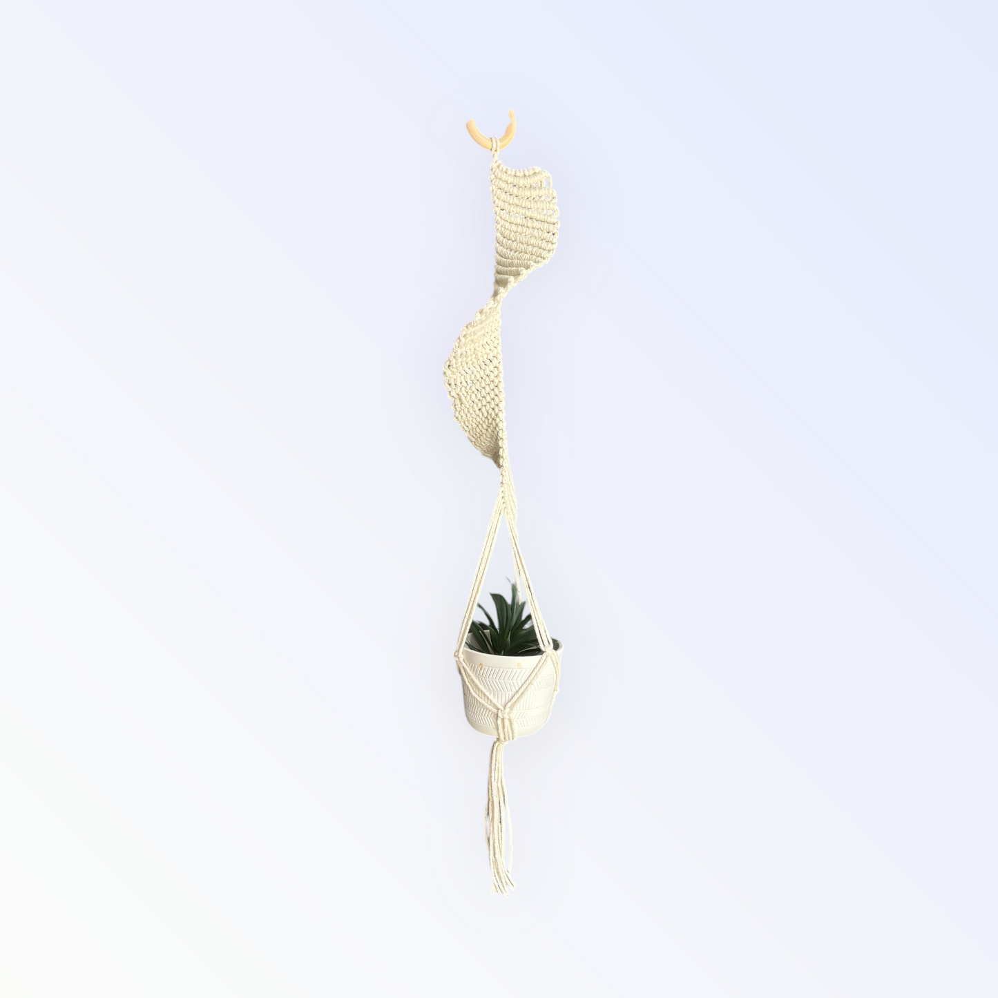 Spiral Wave Plant Hanger